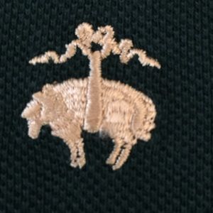 Brooks Brothers Polo